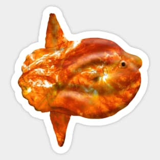 Galaxy Sunfish Sticker